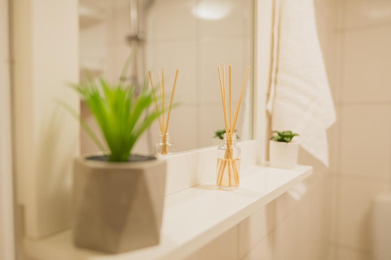 Apartment Kaleta *